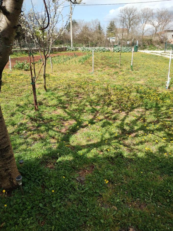 Apartman Enia Murvica  Bagian luar foto