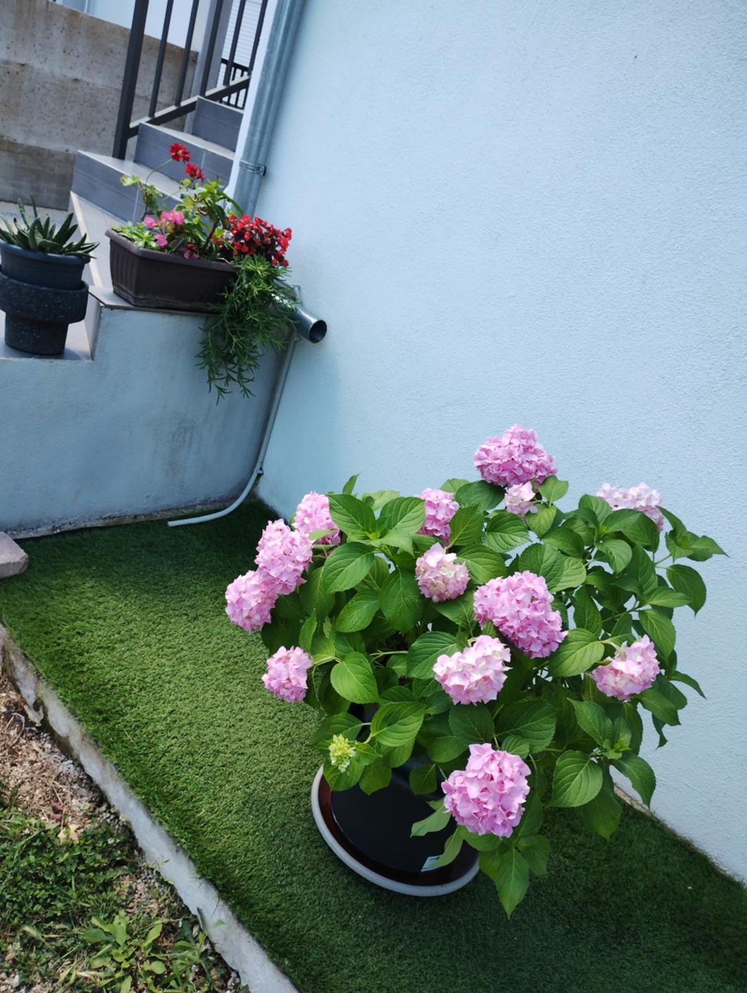 Apartman Enia Murvica  Ruang foto